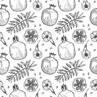 Seamless pattern with Pomegranates. Hand drawn repeating background with engraved fruits, branches, leaves of juicy Garnet plants. Food, ingredient, medical. For sign, label, textile, card vector