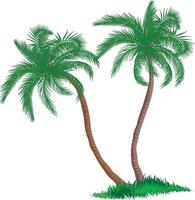 2d palm tree vector