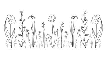 Minimalistic beauty botanical pattern. Field with abstract wild flowers. Hand drawn illustration. vector