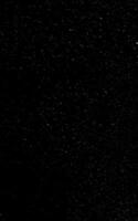 Abstract grunge texture with a dense distribution of white dots on a black background vector