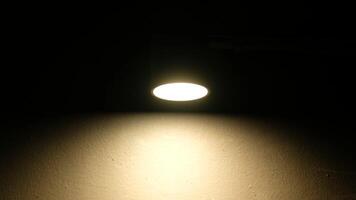 Light from a light bulb with insects playing with the light video