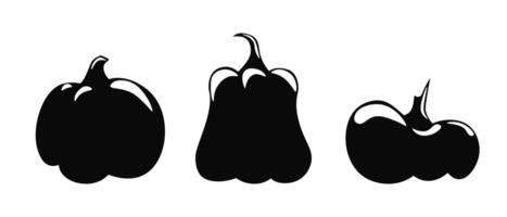 set of orange pumpkins isolated on a white background. vector