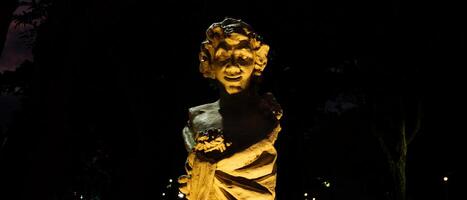 A statue of a woman in the dark with trees in the background photo