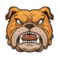 Angry bulldog face mascot on a white background. vector