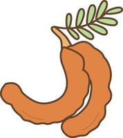 Tamarind Fruit Clipart vector