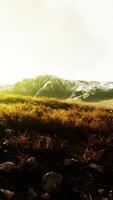 dry grass fields and mountains in Nepal video