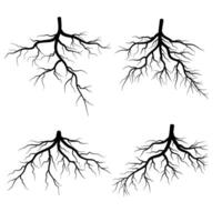 set of black tree roots vector