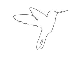 One line drawing of hummingbird. Isolated on white background digital illustration vector