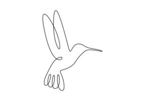 Continuous line drawing of hummingbird. Single line art small bird. Isolated on white background digital illustration vector