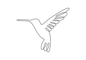 Hummingbird continuous single line drawing. Digital illustration vector