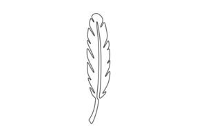 Continuous one line drawing of simple bird feather. Pro illustration vector