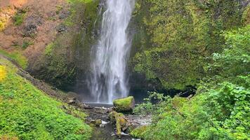 Waterfall Flowing into a Lush Green Forest Stream. A serene waterfall cascades down a rocky cliff into a peaceful forest stream, surrounded by mossy rocks and dense greenery. video