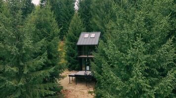 Cozy Cabin Nestled Among Trees, A cozy cabin with a modern design is nestled deep within a dense evergreen forest, offering an intimate view of nature with a small deck and two people enjoying the video