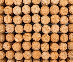 Background from textured wine corks, top view. place for text photo
