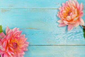 summer background. dahlias and a canvas on a blue wooden background. art. space for a text photo