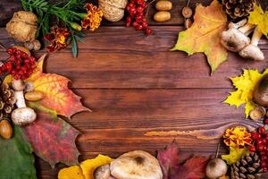 Autumn background of yellow and colored leaves, cones and nuts. place for text. photo
