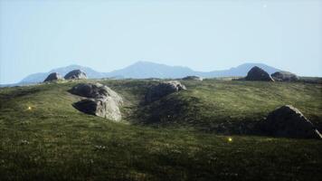 Green meadow on the background of the mountains video