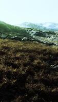 dry grass fields and mountains in Nepal video