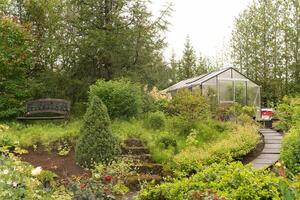 Green garden with growing thuas and flowers with greenhouse in the background photo