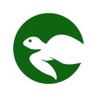 Turtle logo icon design vector