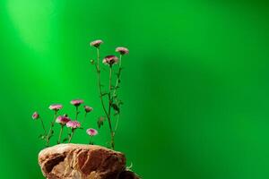 Mock up stone podium against green background photo