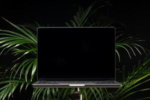 Laptop with green leafy potted plant on black background photo
