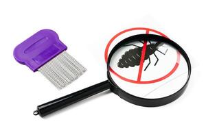 A magnifying glass and lice combs placed side by side on a clean white background photo