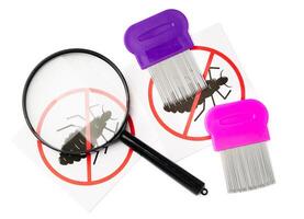A magnifying glass and lice combs placed side by side on a clean white background photo