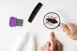 Tools for inspecting and treating lice infestations at home with a magnifying glass and a comb photo