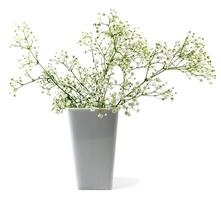 flowers in vase photo