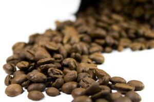 coffee beans close up photo