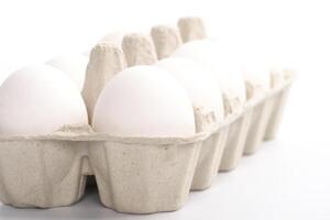 white eggs in packing photo