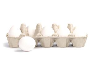chicken eggs in packing photo