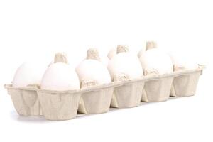 chicken eggs in packing photo