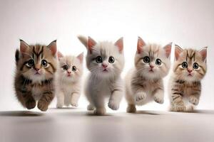 Five kittens running in a line on a white background photo