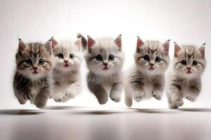 Five kittens running in a line on a white background photo
