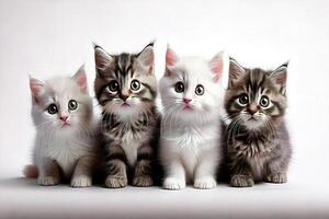 Four kittens are sitting in a row photo