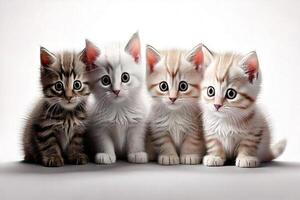 Four kittens sitting together in a row photo