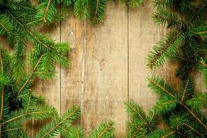 christmas fir tree frame photo