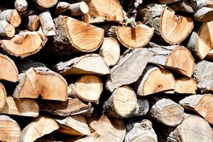 dry chopped firewood logs in a pile photo