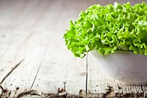 lettuce salad in a bowl photo