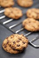 Baking grid with chokolate cookies. photo