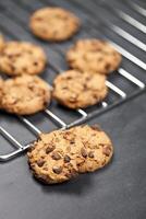 Baking grid with chokolate cookies photo