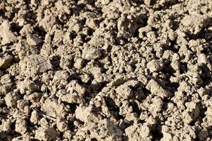 Soil texture background photo