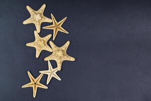 Top view of five starfish on black background. photo
