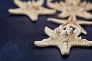Starfish closeup on deep blue. photo
