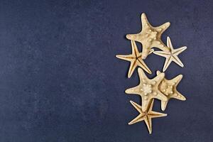 Top view of five starfish on black background. photo