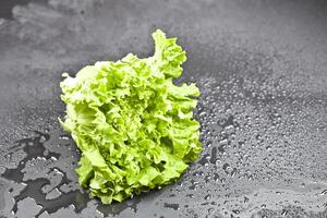 Green organic lettuce salad with water drops on black background. photo