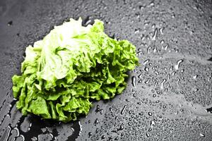 Green organic lettuce salad with water drops on black background. photo