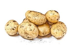 Newly harvested dirty potatoes heap isolated on white background. photo